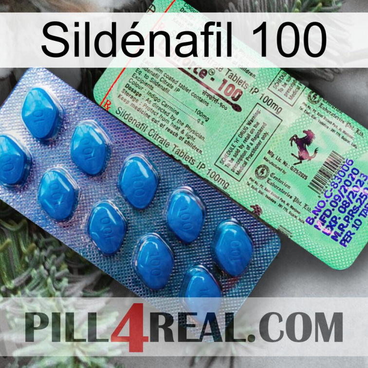 Sildénafil 100 new02